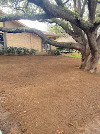 About shrub treatment in Prosper