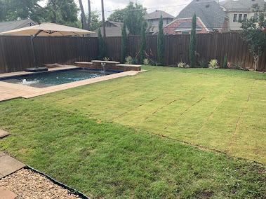 Gallery image 6 — shrub treatment in Prosper
