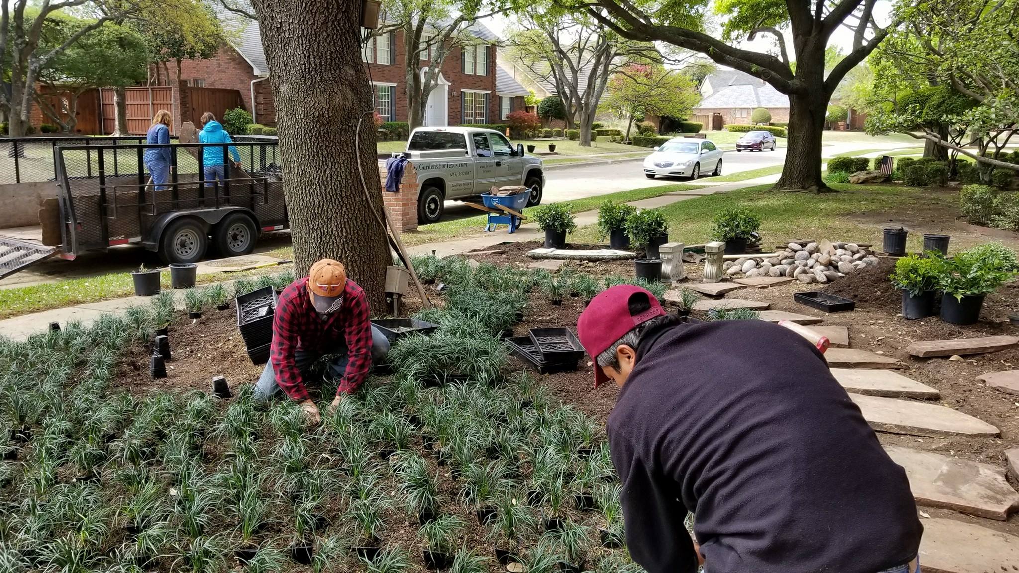 Gallery image 2 — organic soil amendments Dallas