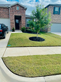 Timberline Lawn & Landscape