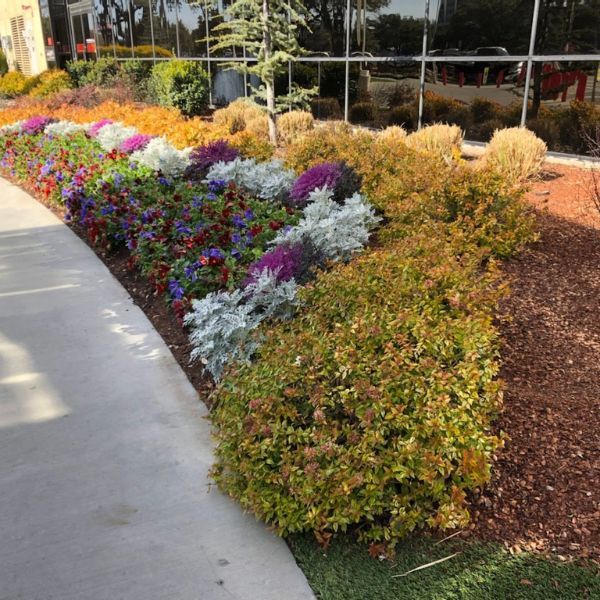 Gallery image 2 — affordable lawn care near me