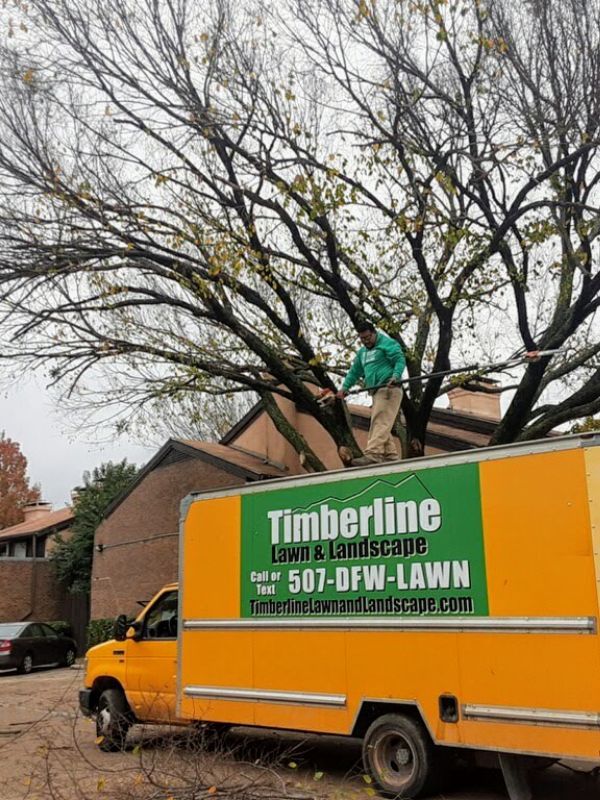 lawn care services Dallas TX