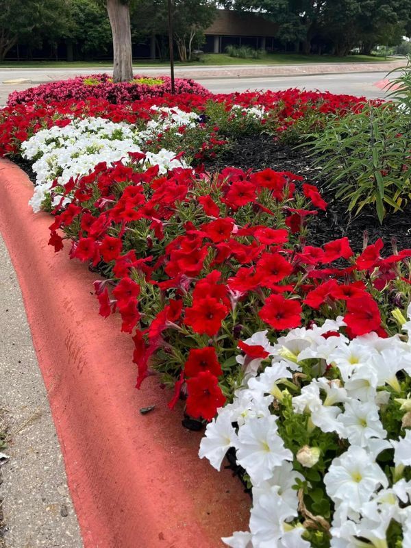 Gallery image 5 — affordable lawn care near me