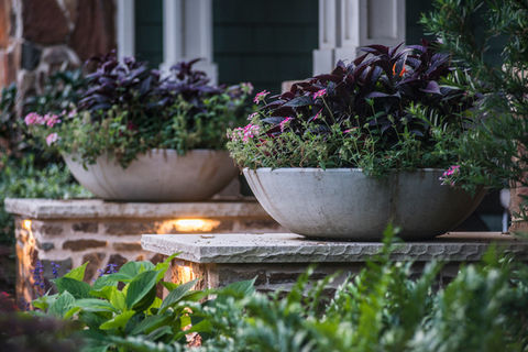 professional landscape design Dallas