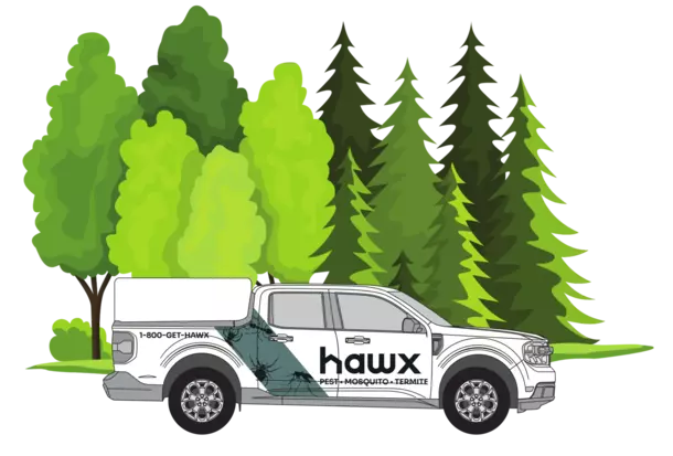 Gallery image 4 — Hawx Pest Control