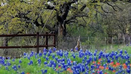 irrigation system installation Dallas