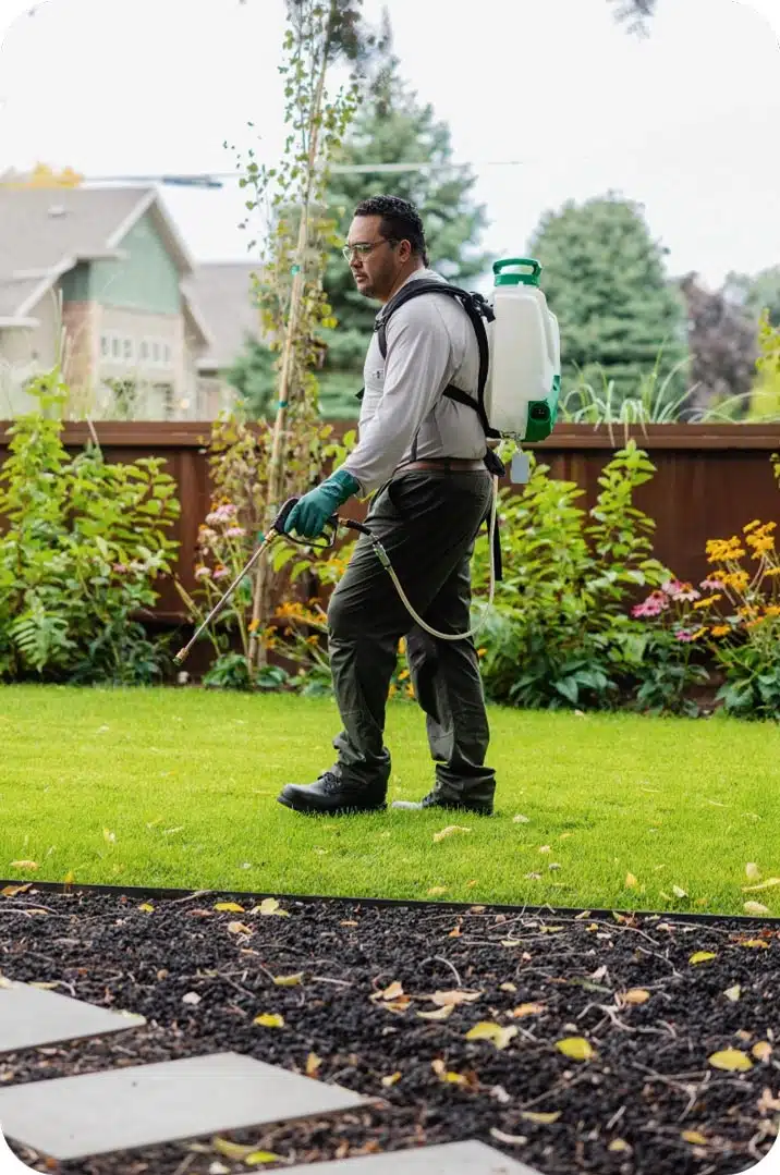 residential pest control San Diego