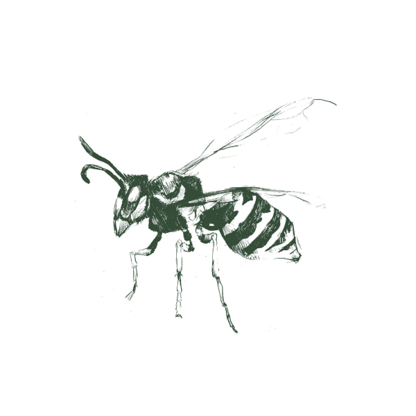 Gallery image 10 — local pest control near me