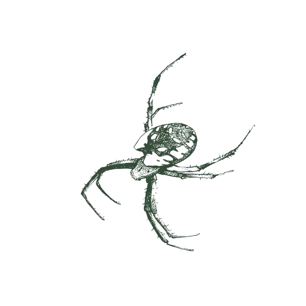 Gallery image 10 — spider control Fremont