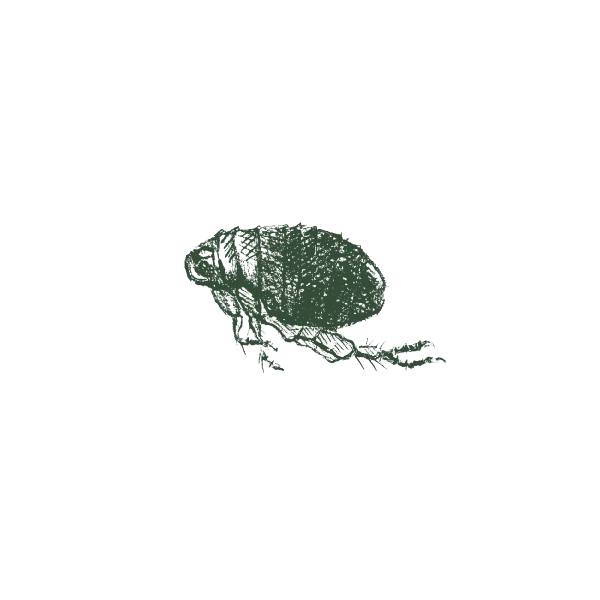 Gallery image 8 — pest prevention San Jose