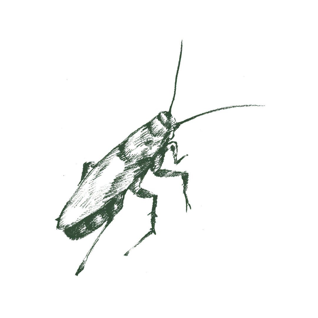 Gallery image 2 — local pest control near me