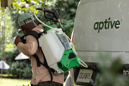 About spider extermination San Jose