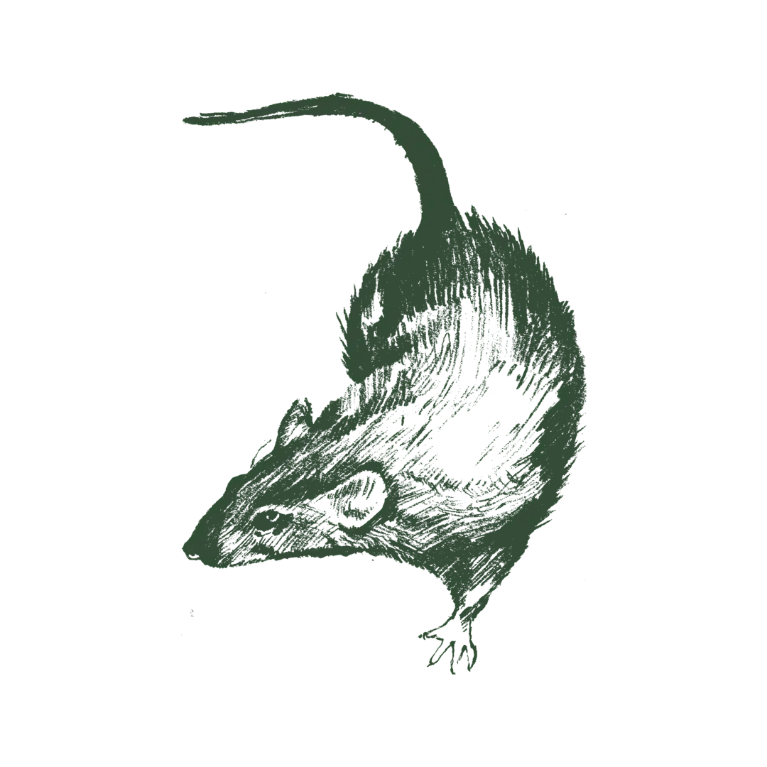 Gallery image 5 — local pest control near me