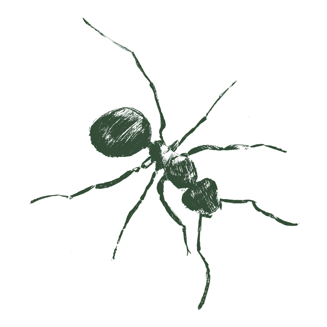 Gallery image 7 — local pest control near me