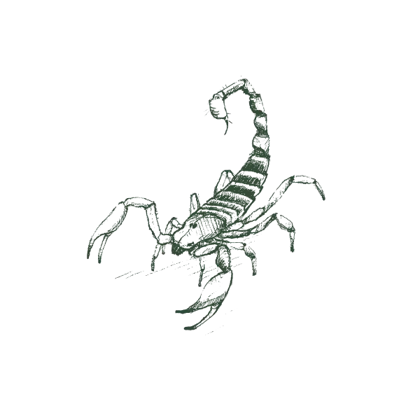 Gallery image 3 — local pest control near me