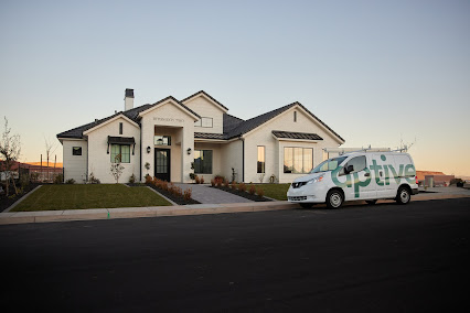 Gallery image 3 — spider extermination San Jose