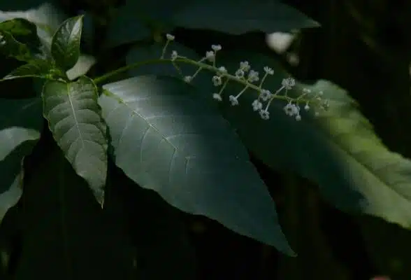 Gallery image 7 — Aptive Pest Control