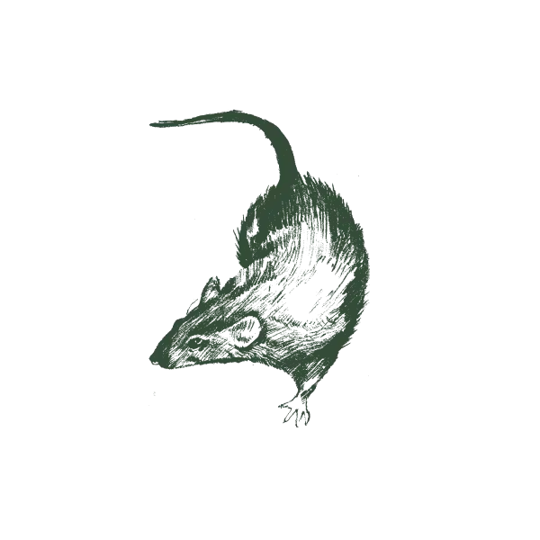 Gallery image 4 — Aptive Pest Control