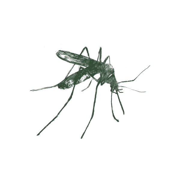 Gallery image 5 — Aptive Pest Control