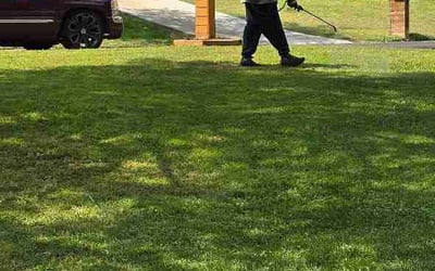 outdoor maintenance team Austin, TX
