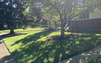 licensed lawn treatment Dallas