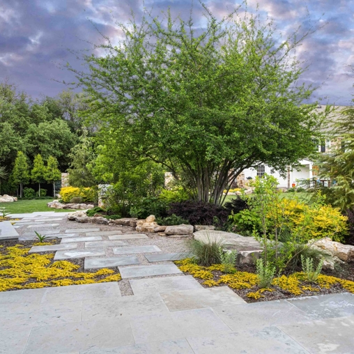 Gallery image 1 — best landscapers in Dallas