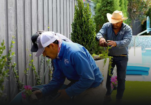 Gallery image 2 — best landscapers in Dallas