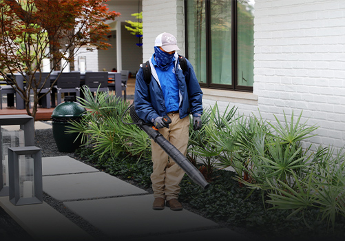 Gallery image 3 — best landscapers in Dallas