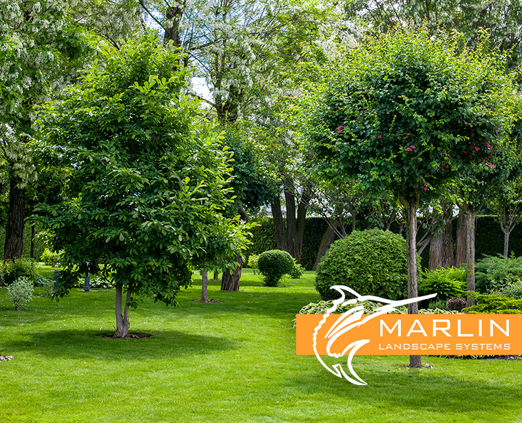 Gallery image 10 — best landscapers in Dallas