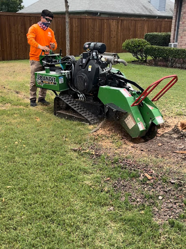 About affordable tree service Dallas