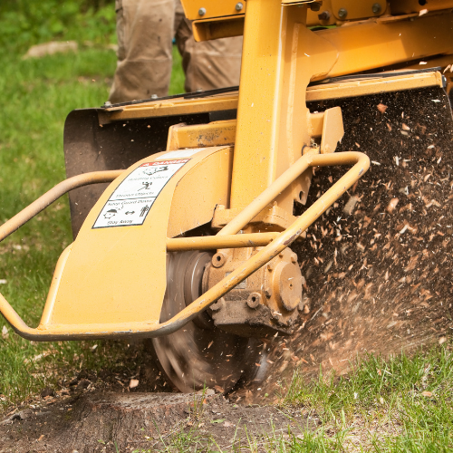 Gallery image 1 — affordable tree service Dallas