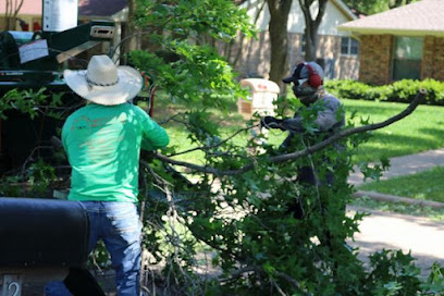 Gallery image 3 — affordable tree service Dallas