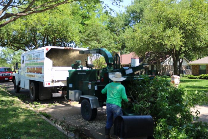 Gallery image 6 — affordable tree service Dallas