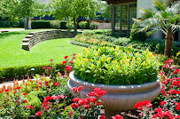 landscape design Dallas