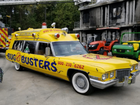 About Bug Busters, Inc