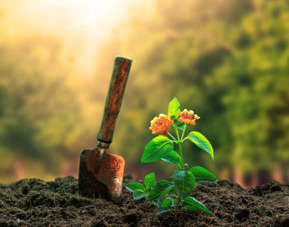 pergola patios in Dripping Springs