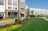 Gallery image 6 — Superior Landscapes