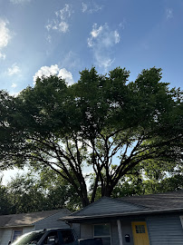 Gallery image 4 — tree removal near me