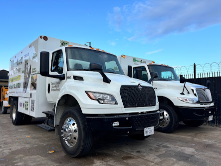 Gallery image 3 — tree removal near me