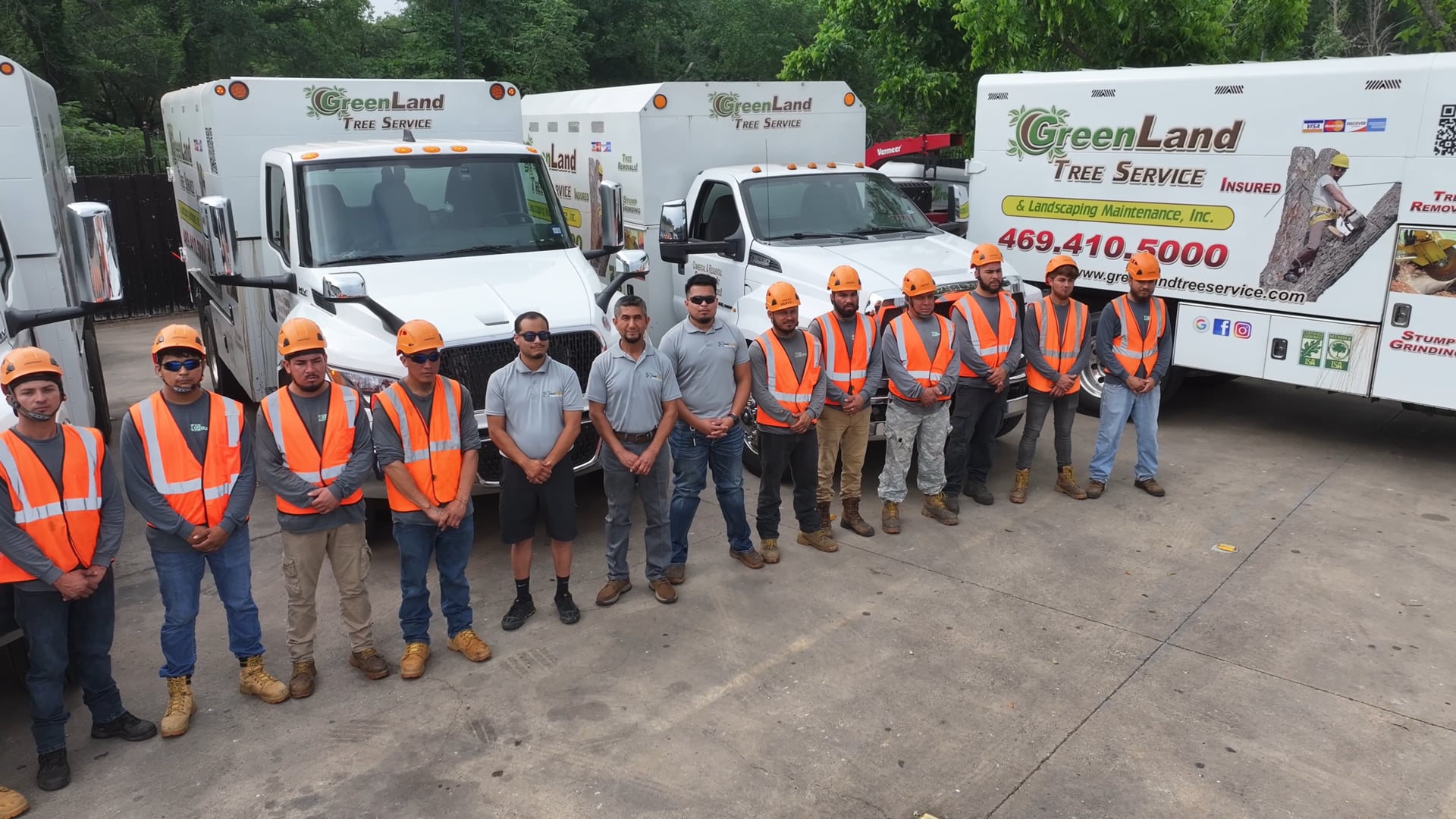 tree removal near me