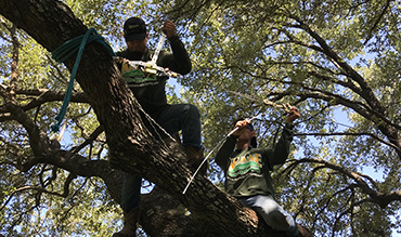 Gallery image 2 — landscape design Preston Hollow