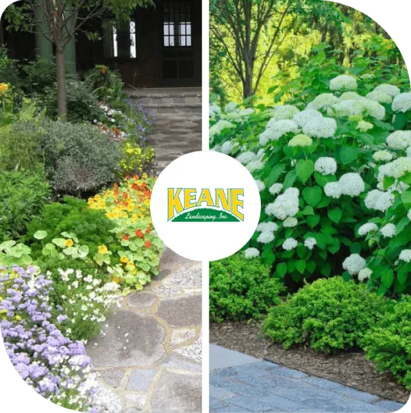 About landscape design Preston Hollow