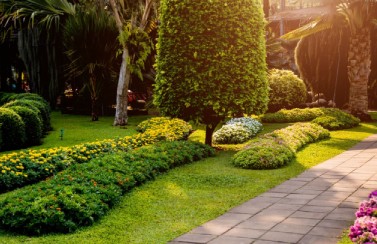 Gallery image 6 — seasonal lawn care Dallas