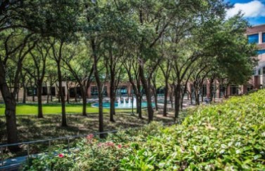 Gallery image 8 — seasonal lawn care Dallas