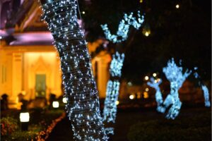 Gallery image 15 — seasonal lawn care Dallas