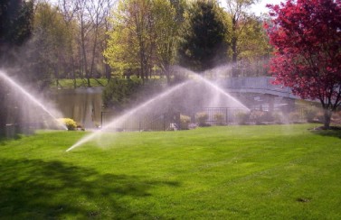 Gallery image 20 — seasonal lawn care Dallas