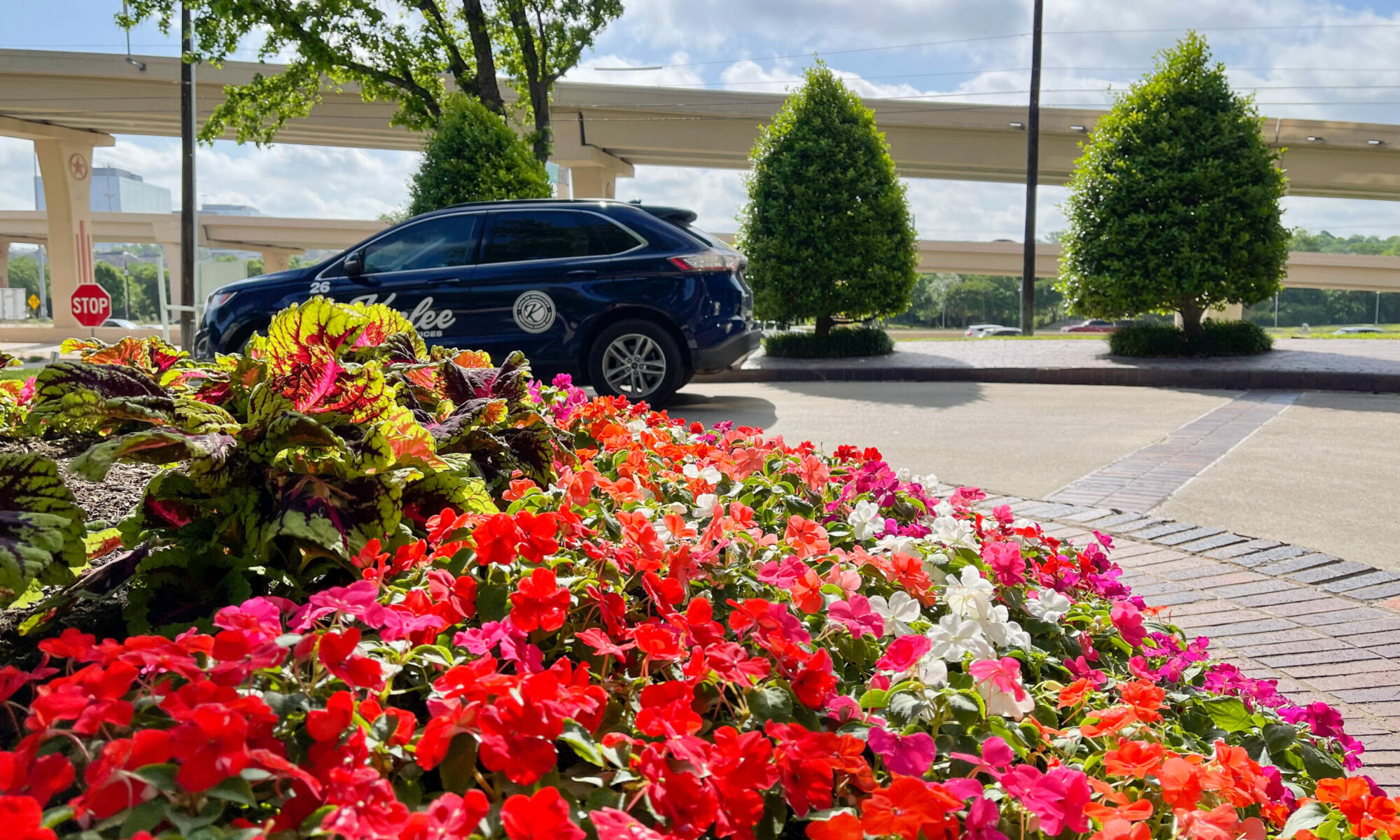 family-owned landscape company Dallas