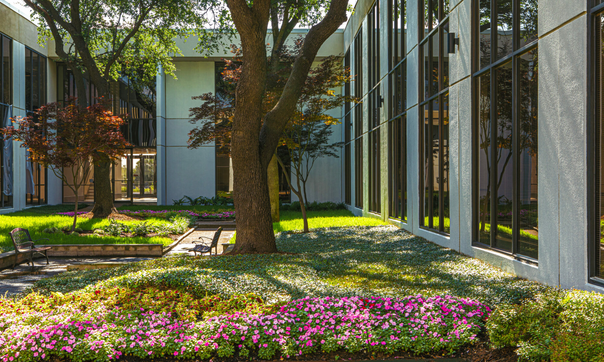 About family-owned landscape company Dallas