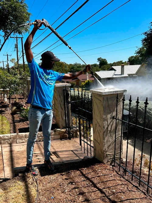 Gallery image 5 — eco friendly cleaning San Antonio