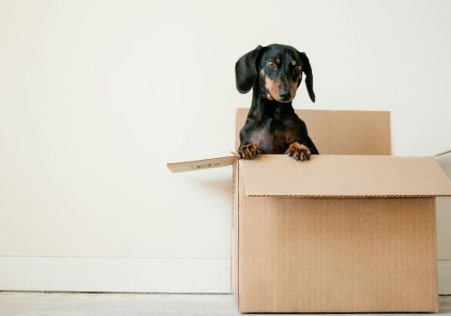 Gallery image 1 — recurring cleaning services Houston
